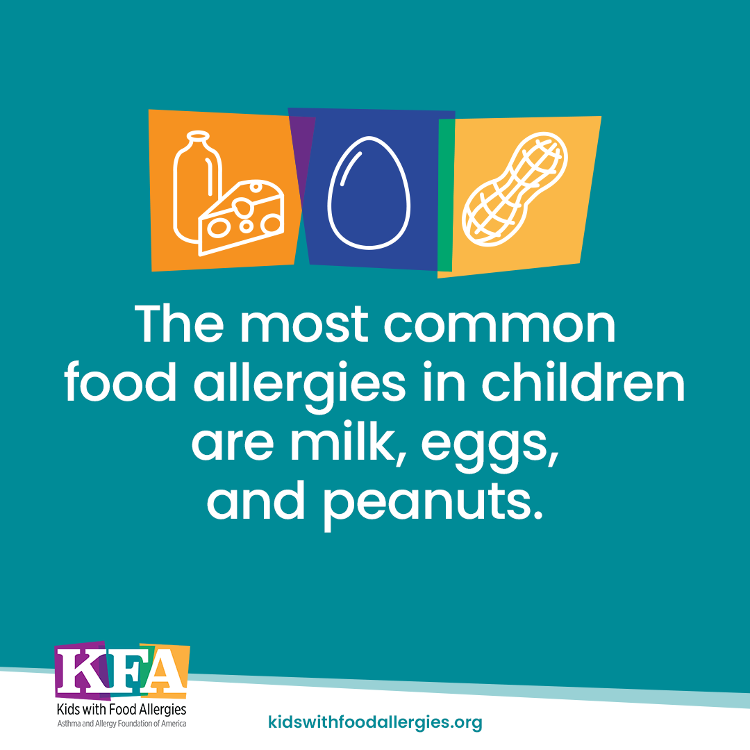 Icons of milk, cheese, egg, and peanut with the text: The most common food allergies in children are milk, eggs, and peanuts.